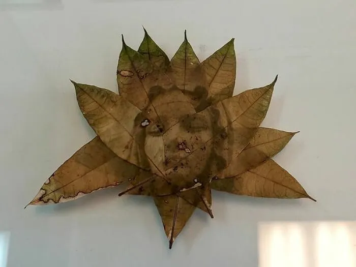 Mary With Radiant Leaf Halo 2022 Guyana Chestnut Leaves