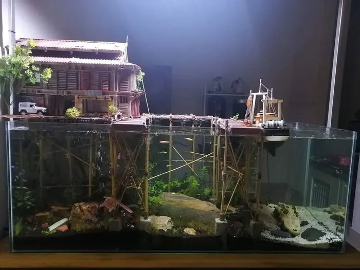 My Mini-Dock Aquarium