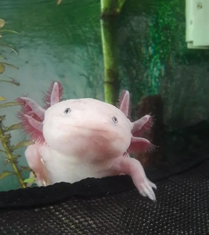 "Bartender, Give Me The Usual"