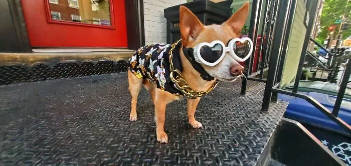 Frida Is A Fashion Legend,  This Look Was Her Homage To Elton John And Elizabeth Taylor