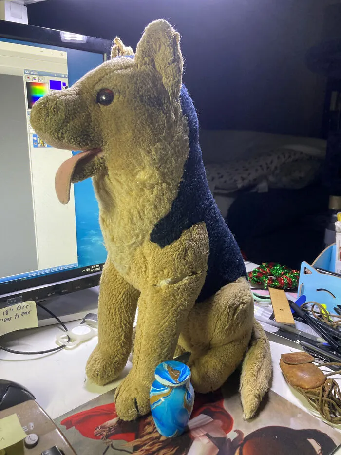 Where I'm Currently Living, It's A Toss-Up Between Chace (1986 Dakin German Shepherd Plushie I've Had Since I Was 5, I'm 41 Now) And My Dad's Ashes In The Little Blue-Gold Urn. (I Have The Rest Of His Ashes At Home And Only Have A Small Bit With Me Here.)