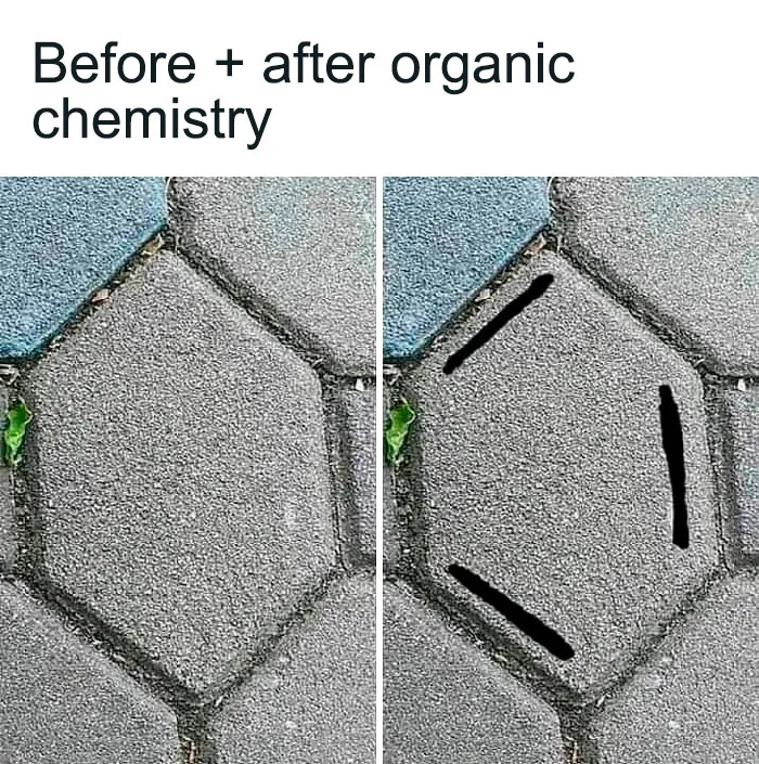 Chemistry meme showing a hexagonal tile pattern resembling a cyclic compound structure before and after organic chemistry.