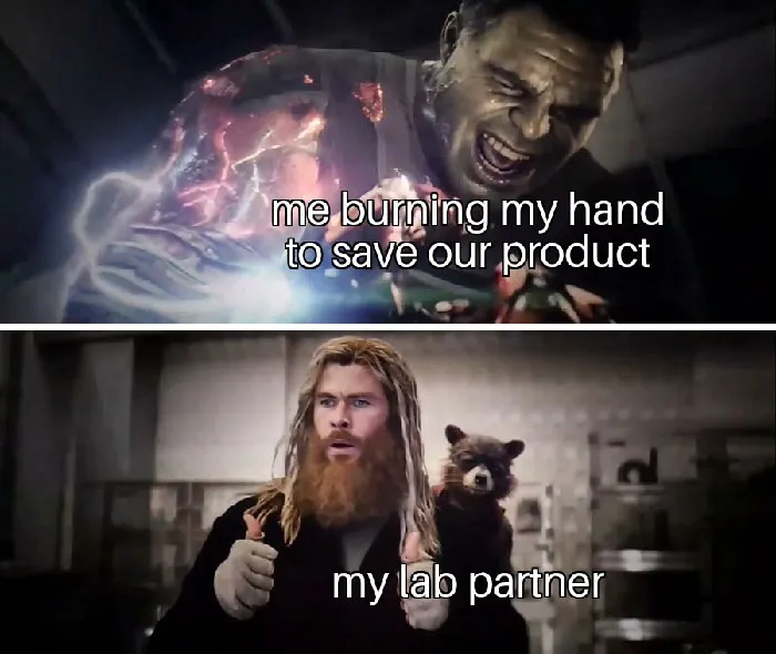 Chemistry meme featuring lab partners, with one character burning hand and another looking surprised with a racoon on his shoulder.