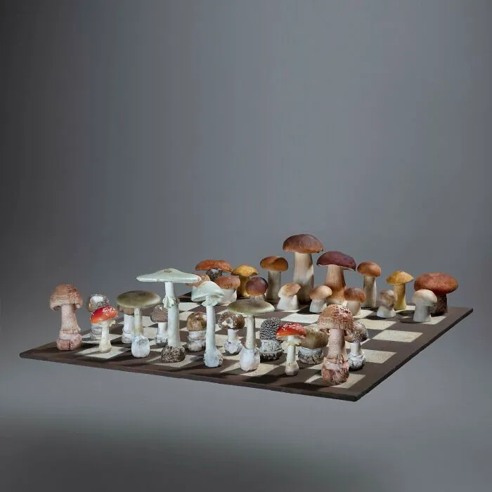 I Create Mushroom Flatlays, And Here Are My 40 Best Photographs Of Them
