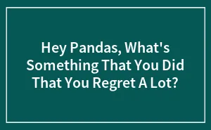 Hey Pandas, What's Something That You Did That You Regret A Lot? (Closed)