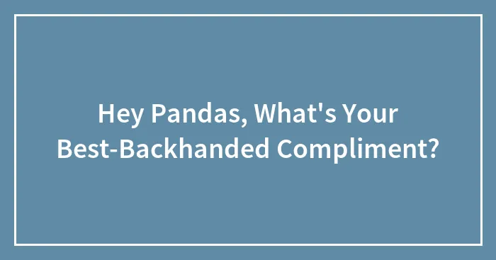 Hey Pandas, What's Your Best-Backhanded Compliment? (Closed)