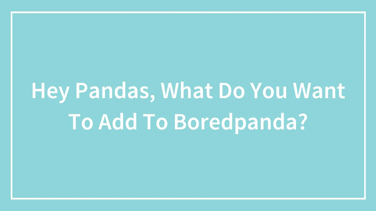 Hey Pandas, What Do You Want To Add To Boredpanda?