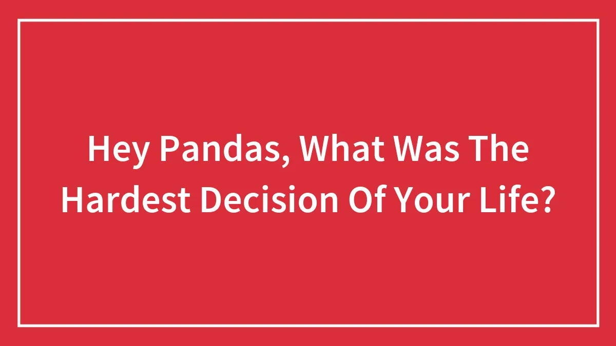 Hey Pandas, What Was The Hardest Decision Of Your Life? (Closed)