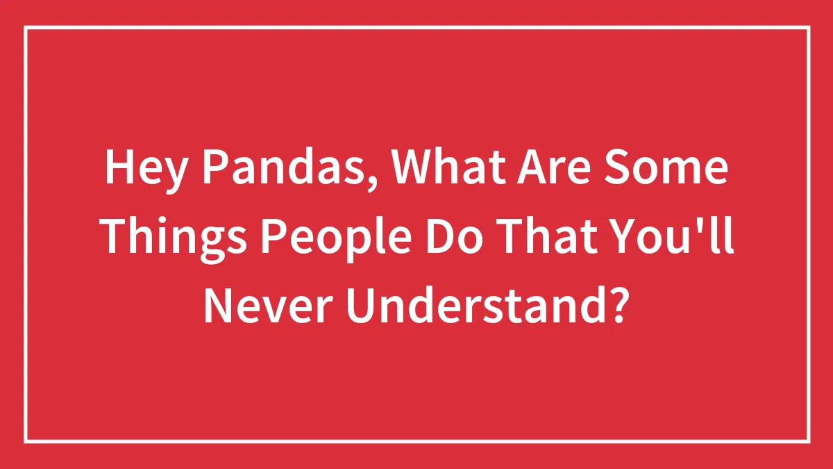 Hey Pandas, What Are Some Things People Do That You'll Never Understand?