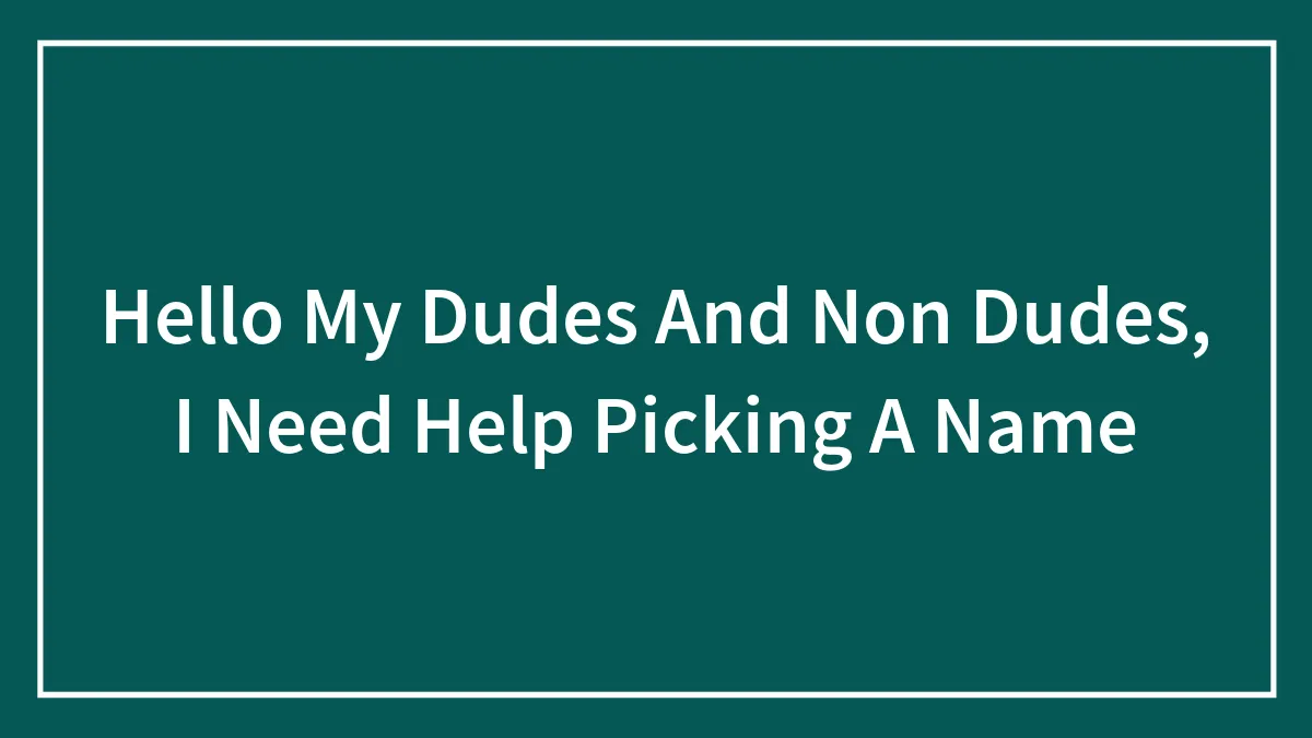 Hello My Dudes And Non Dudes, I Need Help Picking A Name