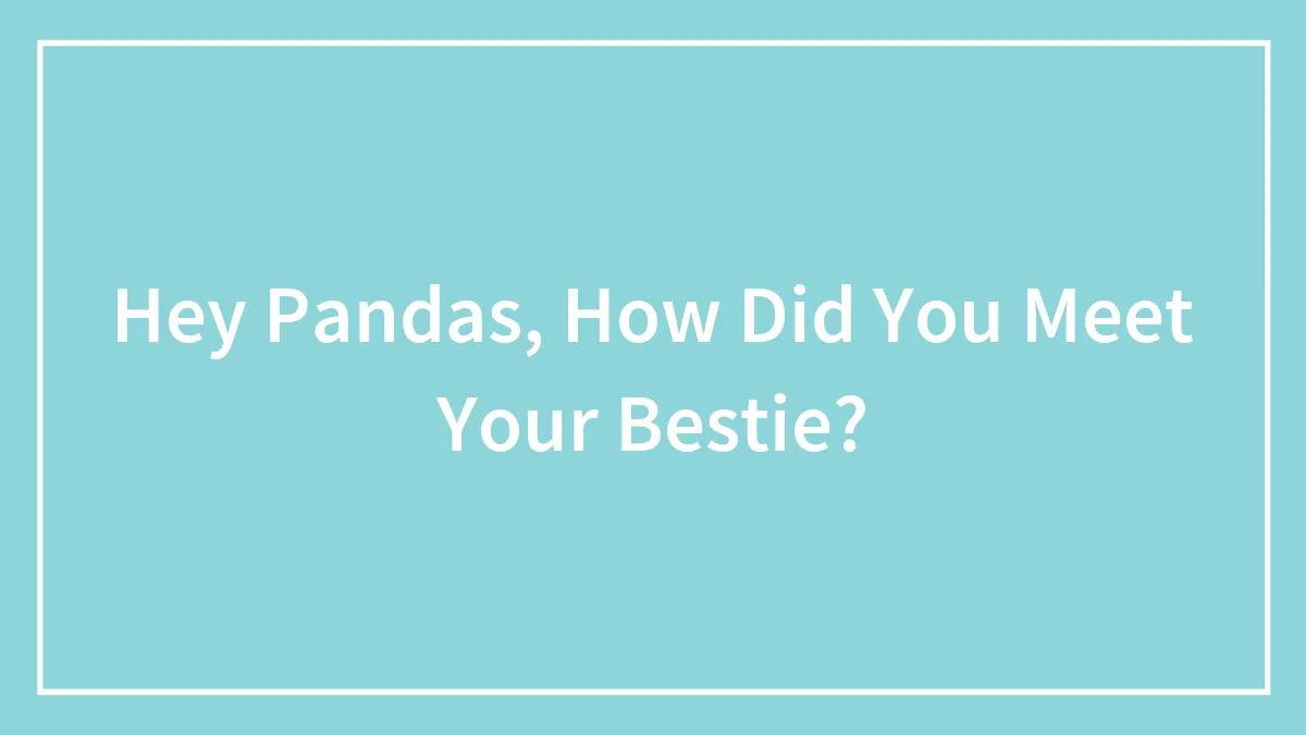 Hey Pandas, How Did You Meet Your Bestie?