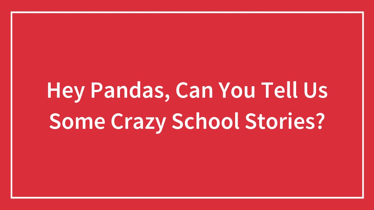 Hey Pandas, Can You Tell Us Some Crazy School Stories? (Closed)