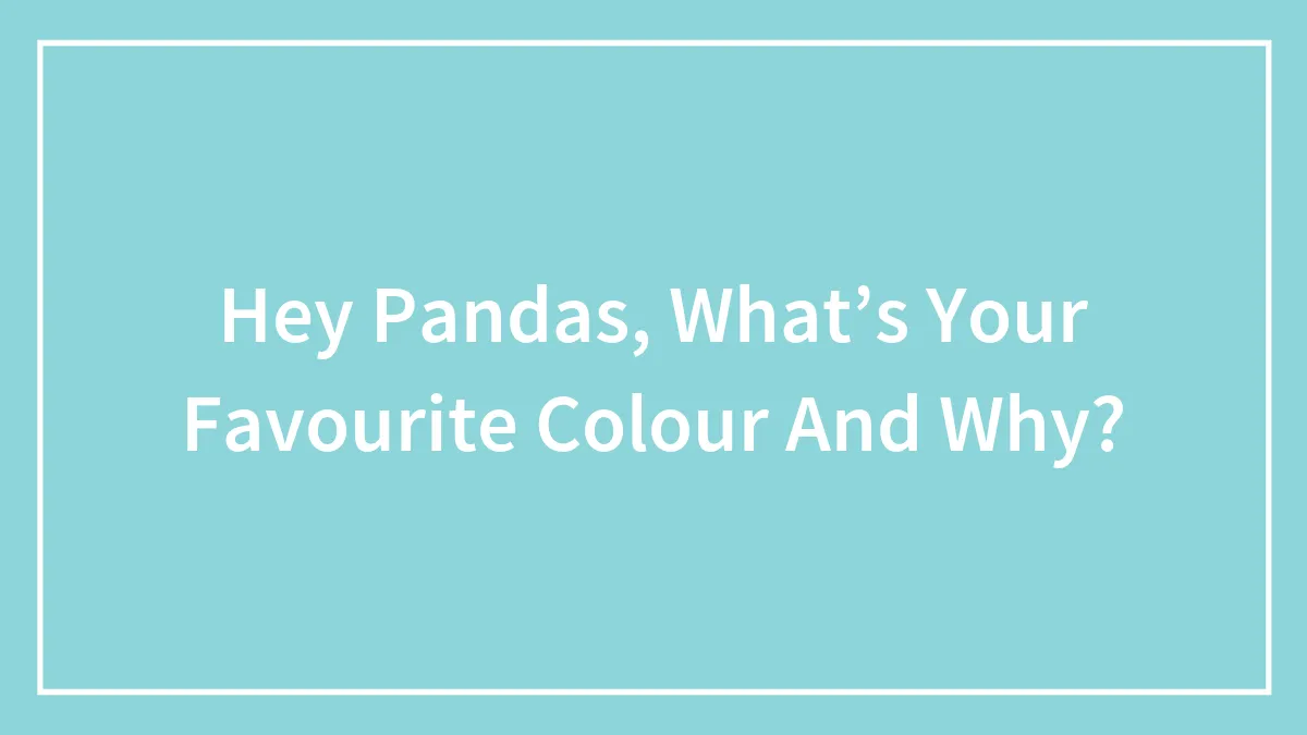 Hey Pandas, What’s Your Favourite Colour And Why?