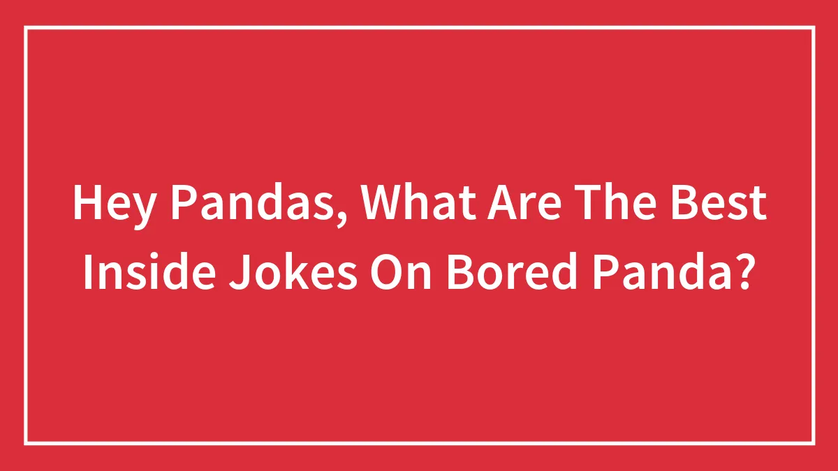 Hey Pandas, What Are The Best Inside Jokes On Bored Panda?