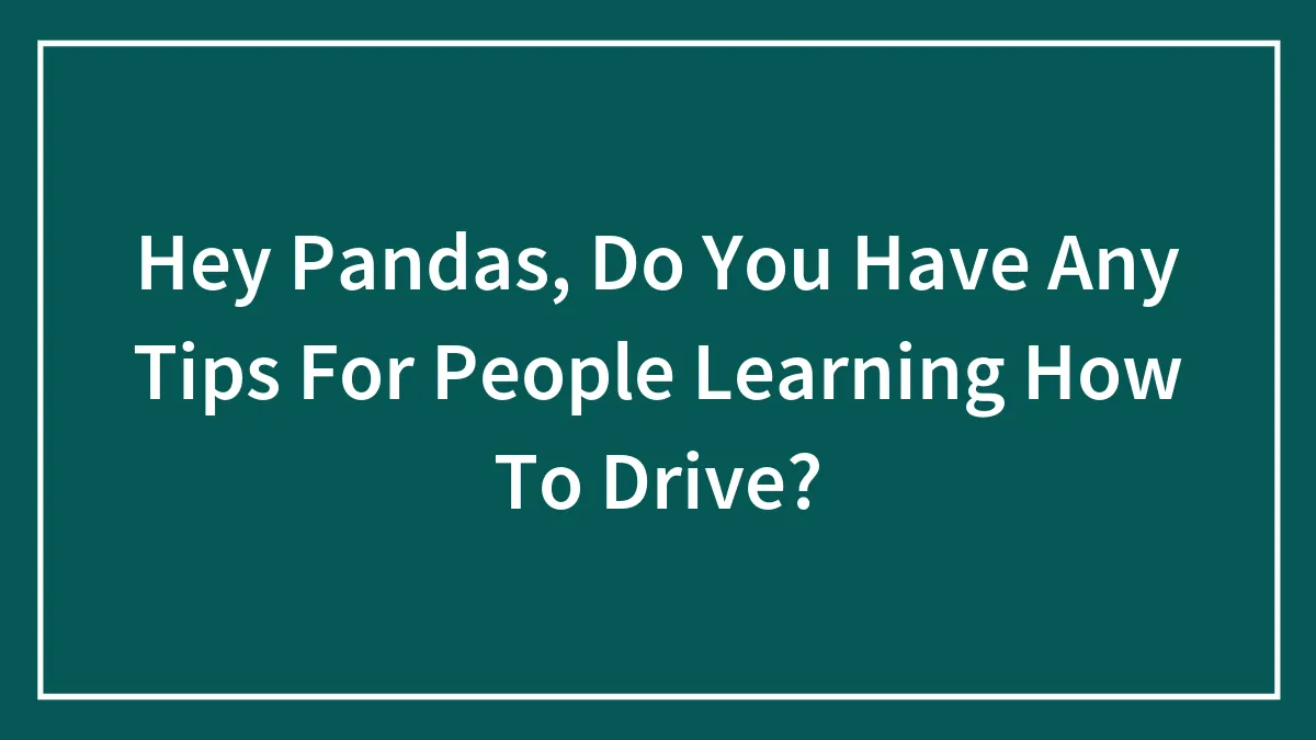 Hey Pandas, Do You Have Any Tips For People Learning How To Drive? (Closed)