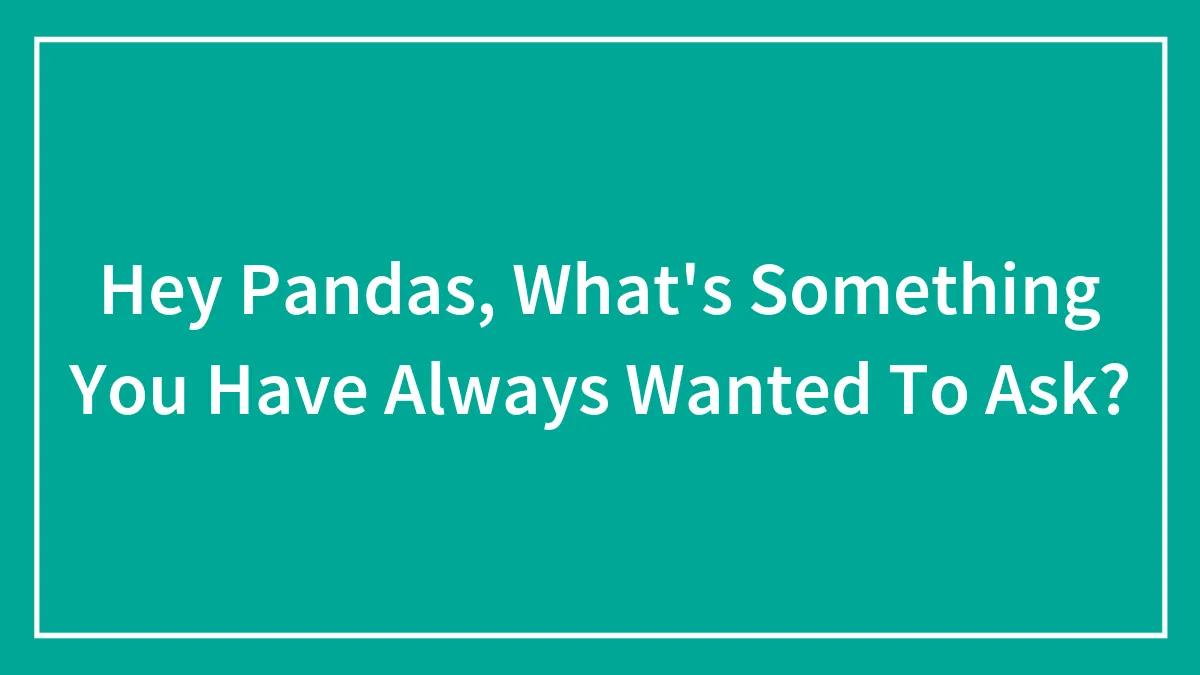 Hey Pandas, What's Something You Have Always Wanted To Ask?