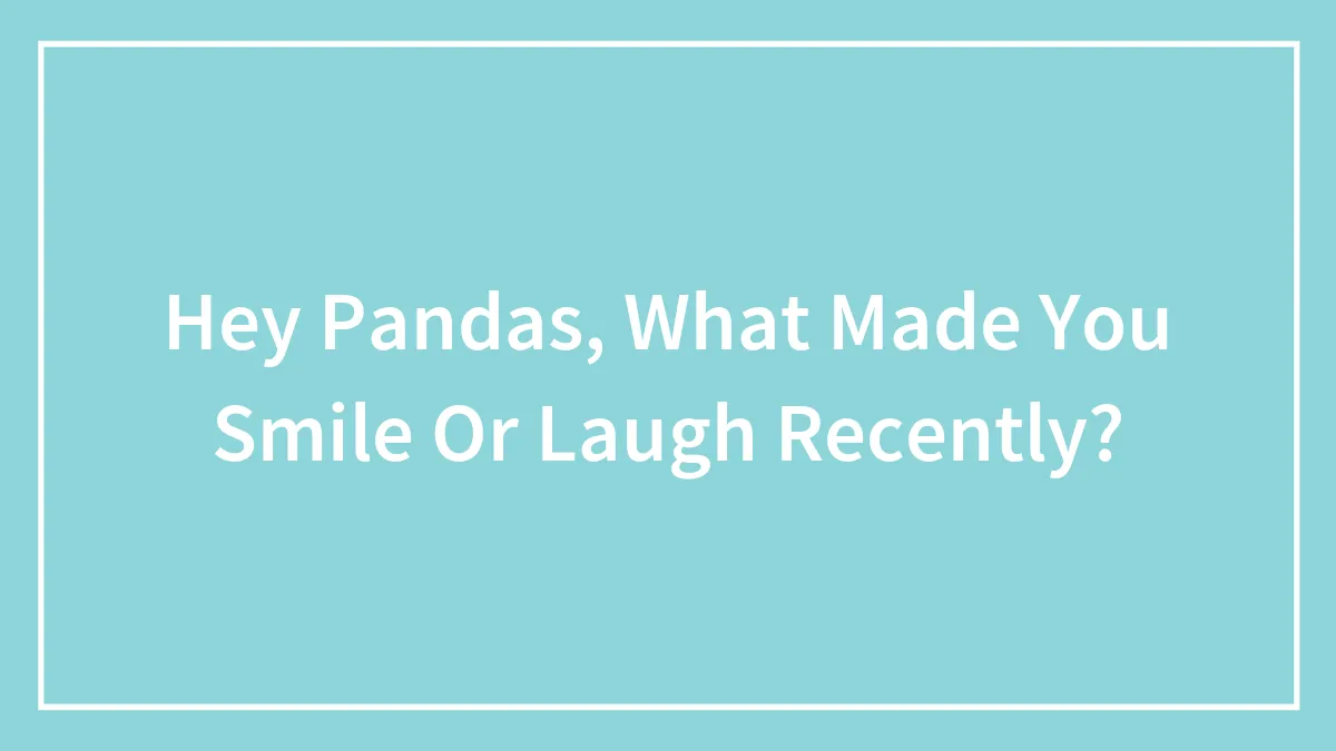 Hey Pandas, What Made You Smile Or Laugh Recently?