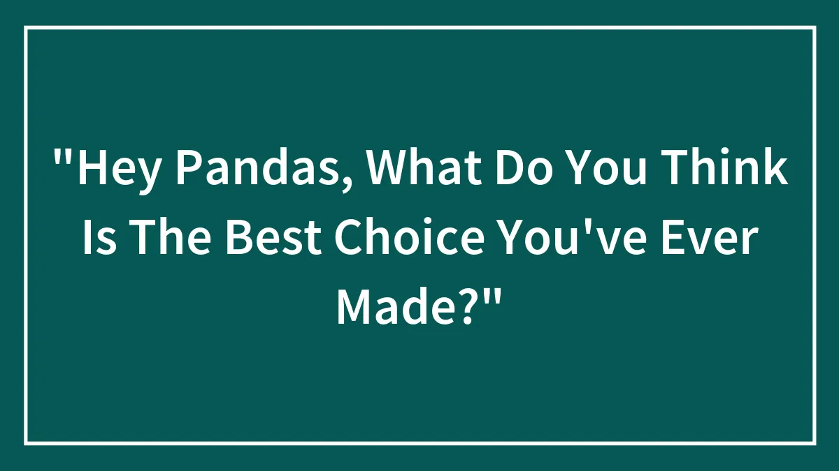 Hey Pandas, What Do You Think Was The Best Choice You've Ever Made?" (Closed)