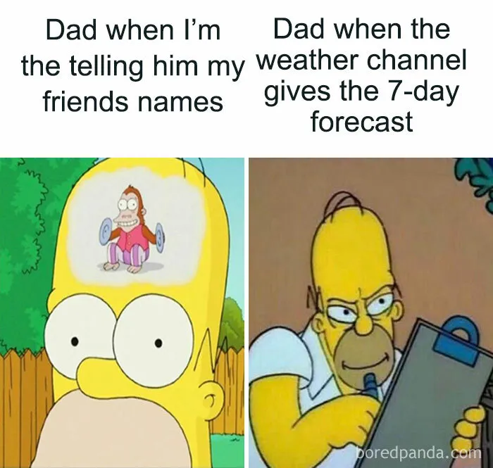 ‘Classic Dad Moves’: 40 Memes That Perfectly Reflect The Dad Brain
