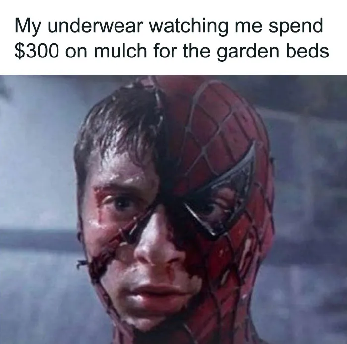 ‘Classic Dad Moves’: 40 Memes That Perfectly Reflect The Dad Brain