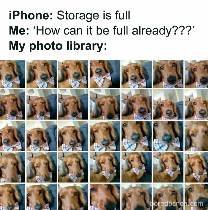 Classic-Funny-Memes-Jokes