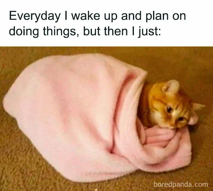 40 Funny Memes And Jokes To Tickle Your Funny Bone