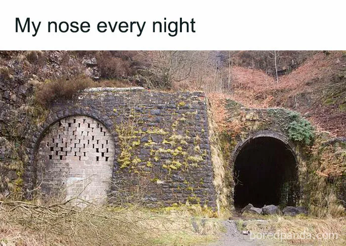 40 Funny Memes And Jokes To Tickle Your Funny Bone