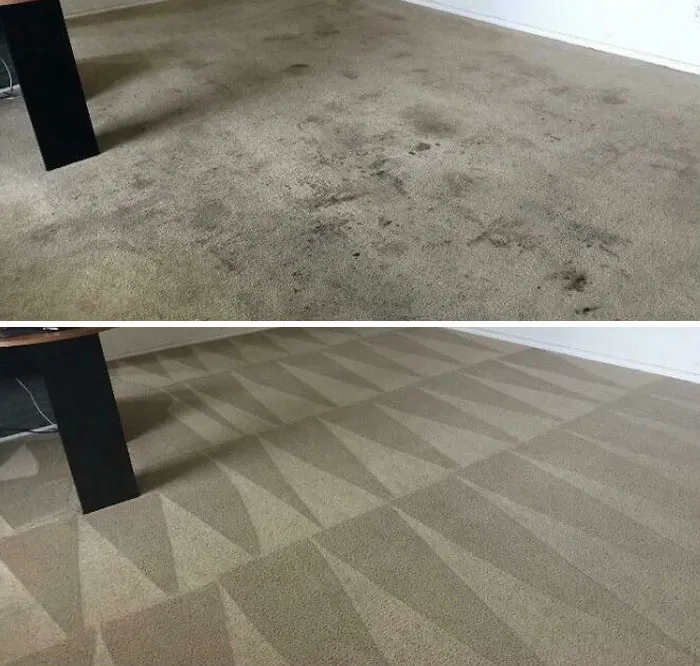 Limpieza de alfombras