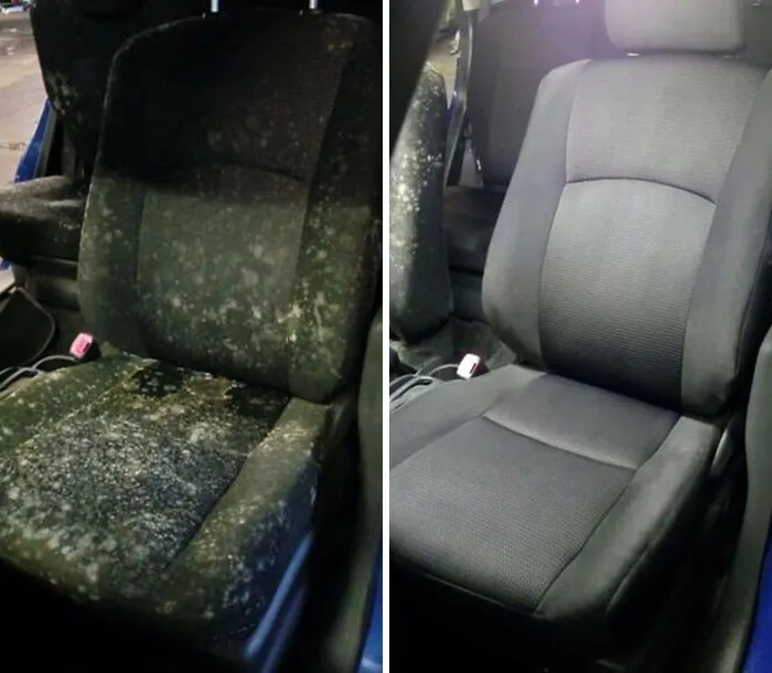 Can The Steam Cleaning Community Get Some Love?