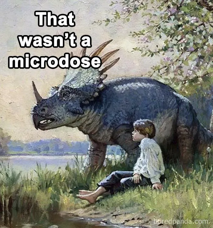 Misscalculation