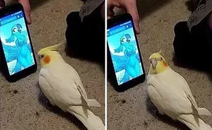 This IG Page Is Sharing Cursed Memes, And Here Are 56 Of The Best
