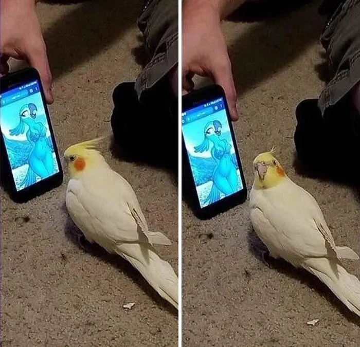 This IG Page Is Sharing Cursed Memes, And Here Are 56 Of The Best