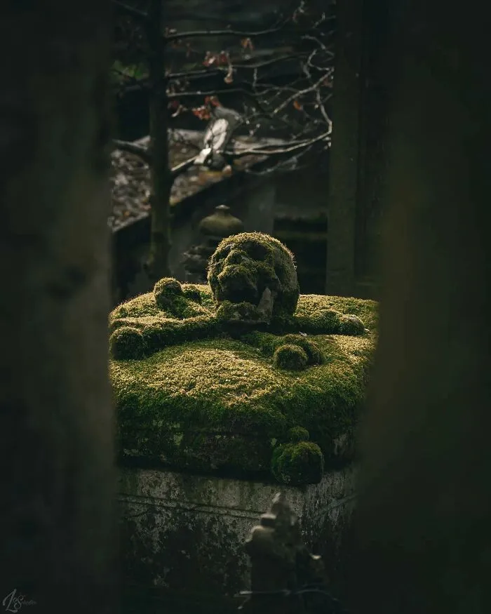 35 Fotos muy interesantes de lugares abandonados