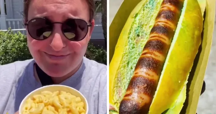 Person Roasts Disneyland Food Fails And Here Are 17 Of Them