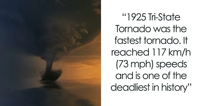 34 Fastest Things In The World That Are Really Quick