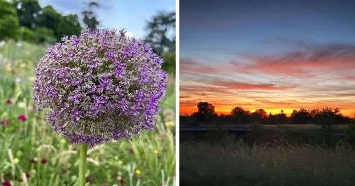 The Beauty Of Nature: 7 Photographs I Took