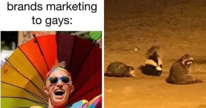 Hey Pandas, Share Your Best LGBTQ+ Memes (Closed)