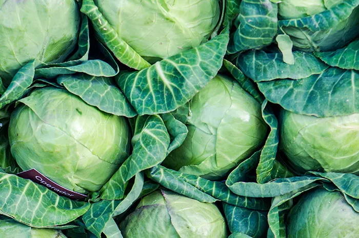 Sauerkraut Sounded Too German In Wartimes And Got A New Name, ‘Liberty Cabbage’