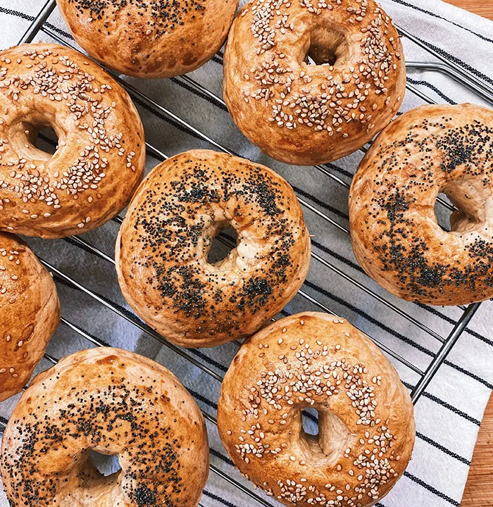 Freshly baked bagels with poppy and sesame seeds, representing a food history fact.