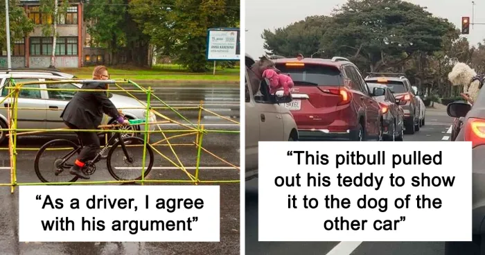 50 Times People Saw Something Funny, Weird, Or Interesting On The Road And Just Had To Document It (New Pics)