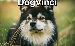 Pet Insurance Worker Shares The Absolute Best Names She's Ever Seen