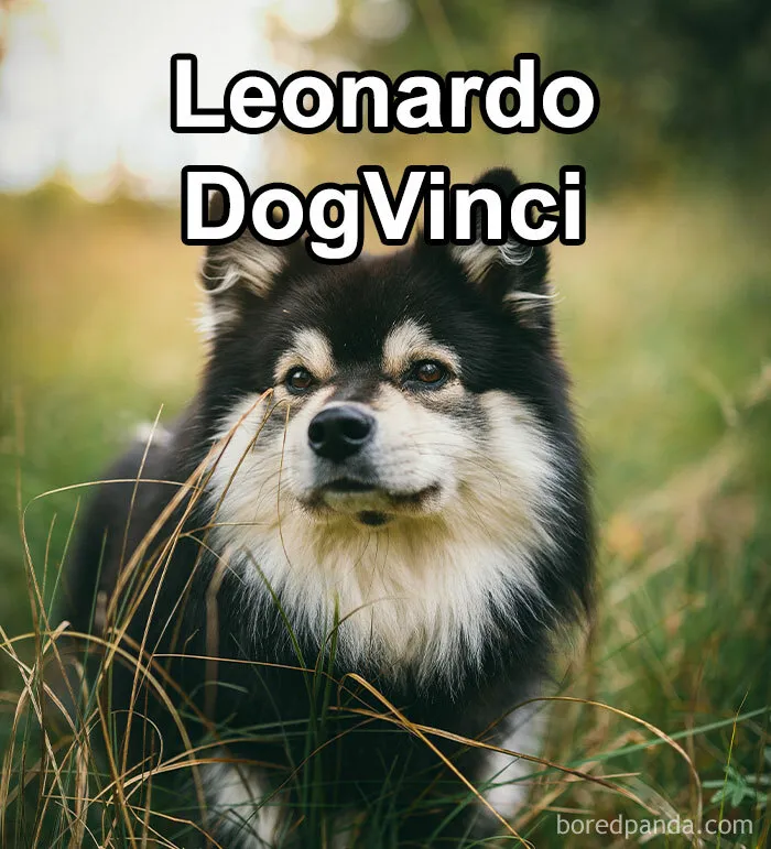 Funny-Weird-Pet-Names
