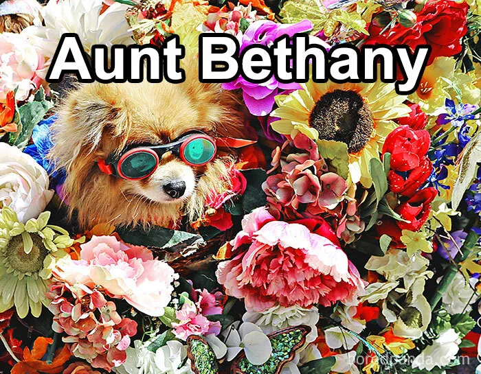 Pet Insurance Worker Shares The Absolute Best Names She's Ever Seen