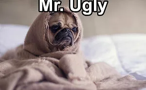 Pet Insurance Worker Shares The Absolute Best Names She's Ever Seen