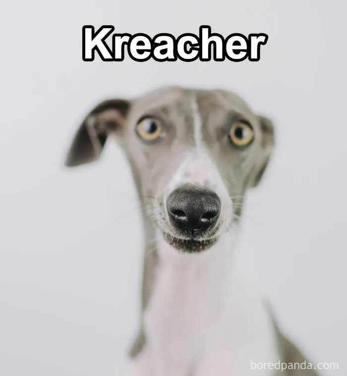 Pet Insurance Worker Shares The Absolute Best Names She's Ever Seen