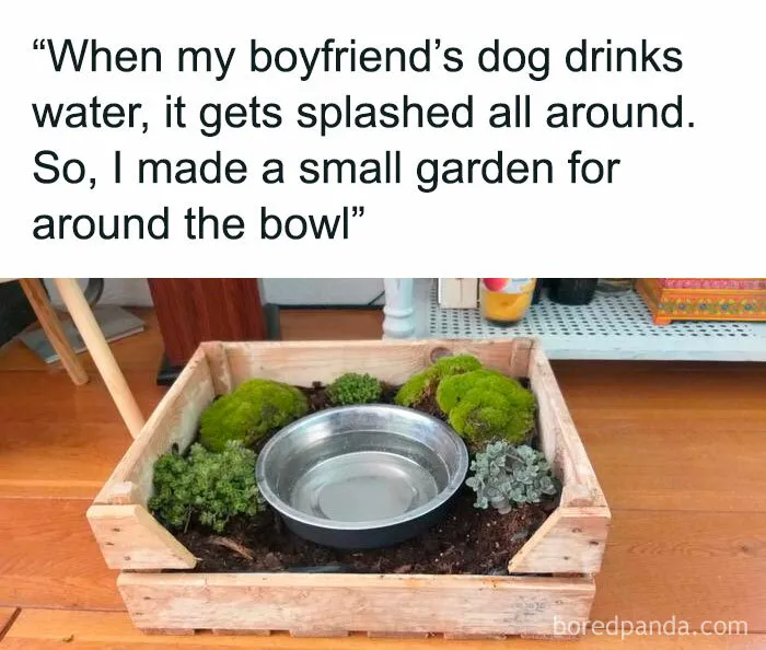 50 Wholesome Memes And Posts That Remind Us The World Isn’t All Bad, As Shared In This Facebook Group