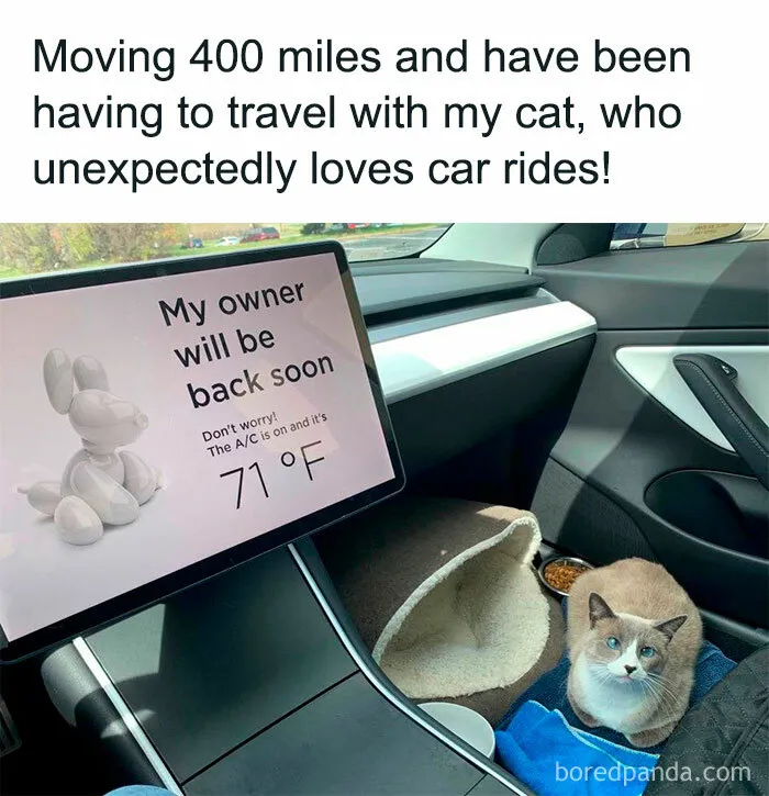 50 Wholesome Memes And Posts That Remind Us The World Isn’t All Bad, As Shared In This Facebook Group