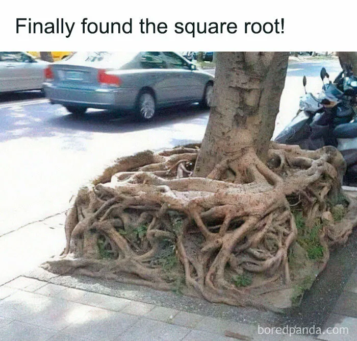 Rooting for Geometry