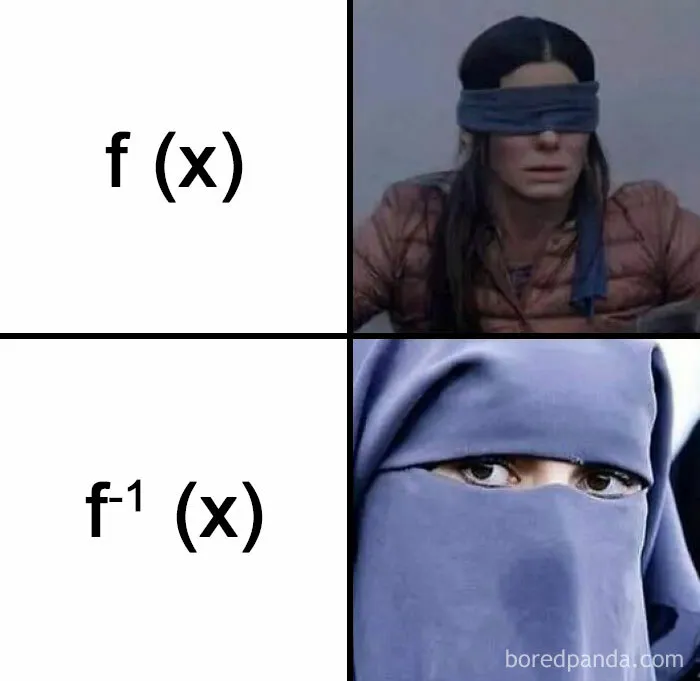 Function vs. Inverse: Spot the Difference