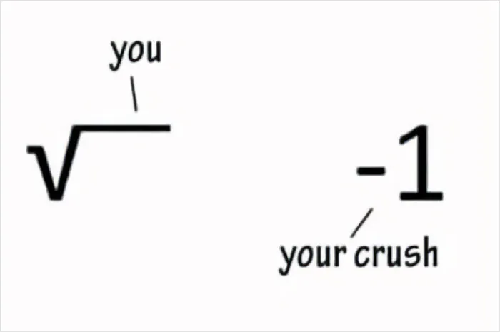 Math meme showing a square root of "you" and negative one labeled as "your crush" for math humor fans.